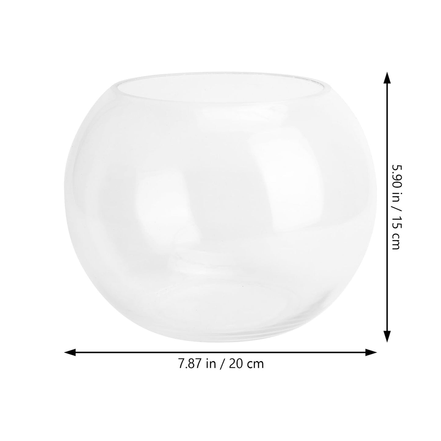 JOINPAYA Glass Hydroponics Vase 20cm Round Bulb Plant Holder Decorative Fish Tank for Desktop Home Office Succulent Terrarium