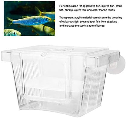Split Fish Betta 5 Gallon Fish 14 X 8 X 8 Acrylic Aquarium Fish Breeding Box Incubation Box Small Size