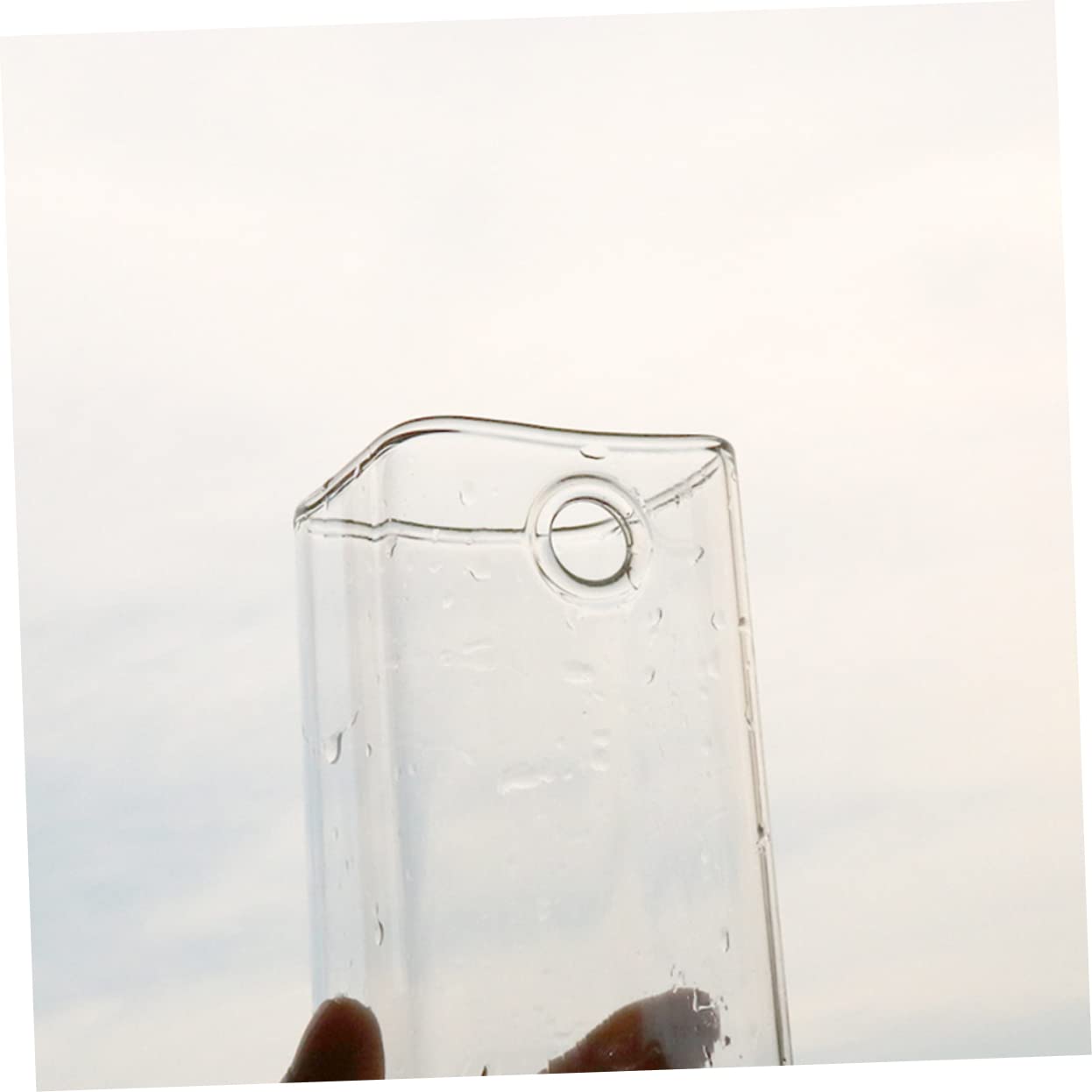 YARNOW Creative Hanging Glass Vase for Flower Planting Wall Mounted Terrarium Container Unique Design for Home Decoration for Succulents and Indoor Plants