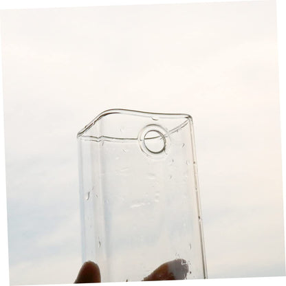 YARNOW Creative Hanging Glass Vase for Flower Planting Wall Mounted Terrarium Container Unique Design for Home Decoration for Succulents and Indoor Plants