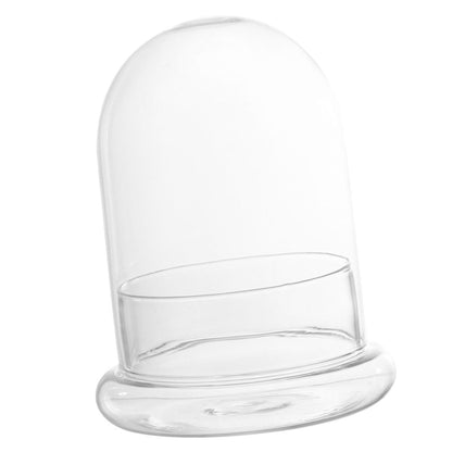 Sosoport Glass Eco Bottle Terrarium Supplies Bell Jar Dome Plant Holder DIY Decor