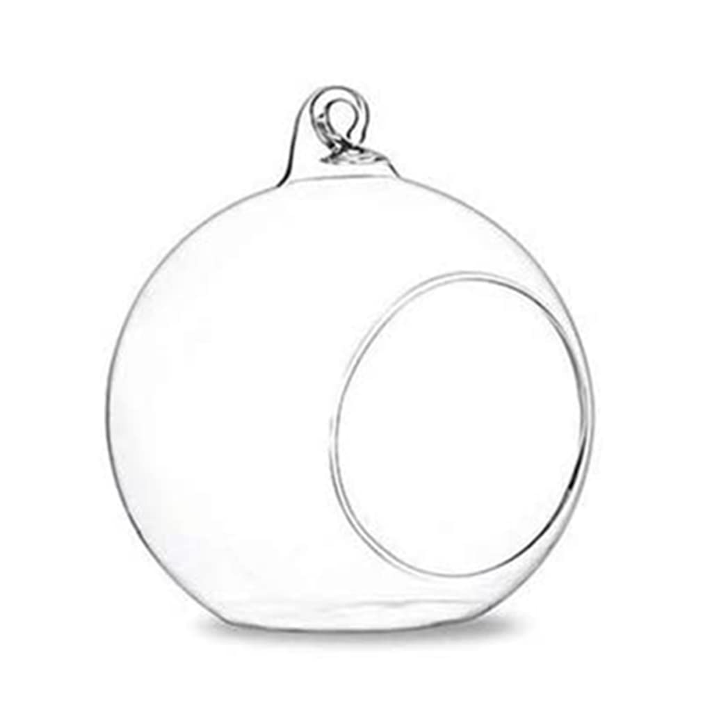 Hanging Glass Terrarium Globe Tea Light Candle Holder Succulents Vase Hanger for Home Wedding Party Indoor Outdoor Decor Glass Terrariums for Plants Wall