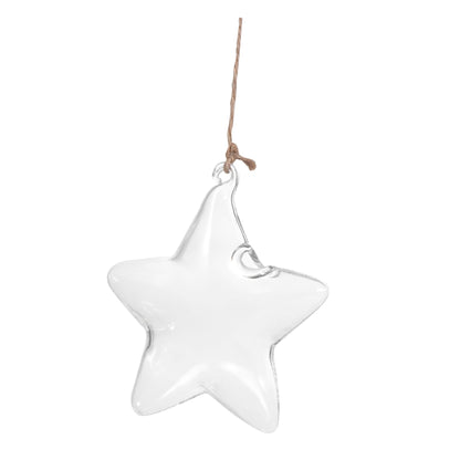 LIOOBO Terrarium Star Vase Elegant Hanging Planter for Home Office for Plant Lovers