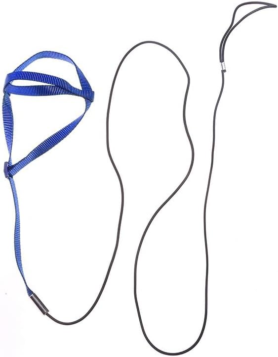 Adjustable Bird Harness and Leash,Anti-Escape Durable Nylon Parrot Harness, Flying Training Rope Parrot Leash for Small Medium Large Breed Parrots Fits Chest Under 18.5'', Blue S
