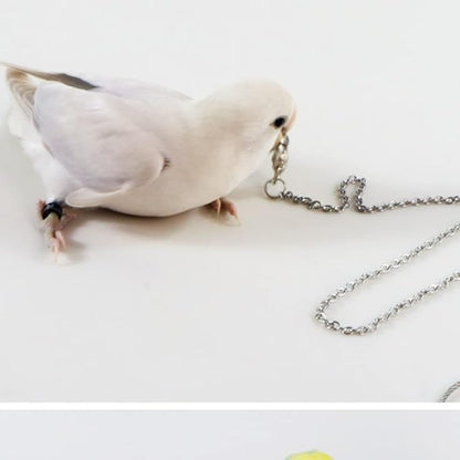 Bird Foot Chain Flying Stainless Steel Training Rope Outdoor Parrot Ankle Foot Ring Accessories Bird Harness Leash Prevent Escaping (7#)