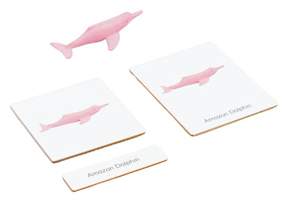 ancona South American Animals, Spanish/English Bilingual, Montessori Preschool Memory Matching Game Box Set with Animal Figurines & 3-Part Cards, Early Education Toy
