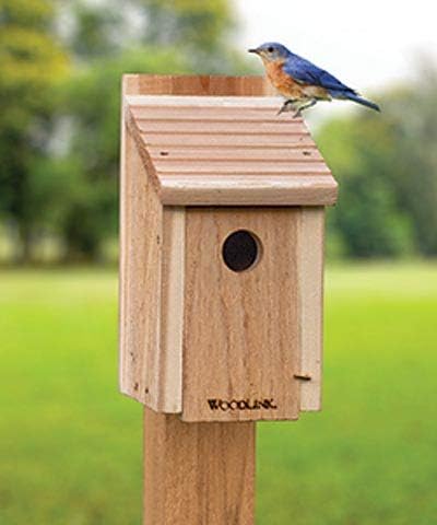 BestNest Club Pack of 6 Woodlink Bluebird House DIY Craft Kits – Precut Wooden Panels & Screws – Easy Assembly Bluebird Nest Boxes for Kids, Scouts, Schools, or Group Crafts – Outdoor Bird Shelter