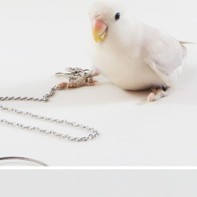 Bird Foot Chain Flying Stainless Steel Training Rope Outdoor Parrot Ankle Foot Ring Accessories Bird Harness Leash Prevent Escaping (4#)