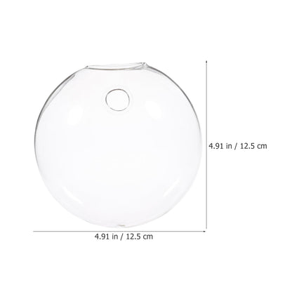 Happyyami 2pcs Wall-Mounted Glass Terrarium Floating Plant Pot Wall Planter for Home Hydroponic Flower Decor Space-Saving Hanging Vase