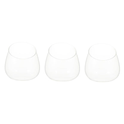 INOOMP 3pcs Slant Cut Glass Bottle Ecological Terrarium Vases Tabletop Micro Landscape Succulent Plant Holder for Home Décor