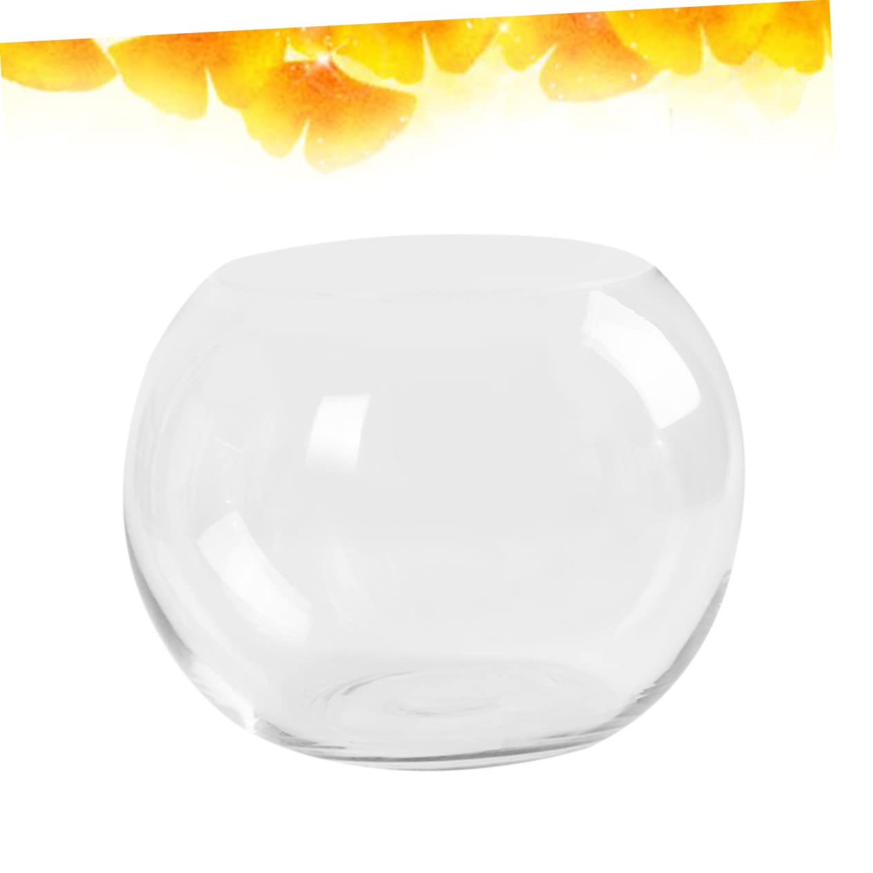 Sosoport Hydroponics Glass Vase Transparent Desktop Flower Pot Smooth Surface Decorative Plant Holder for Home Office Hotel Terrarium Succulent Display