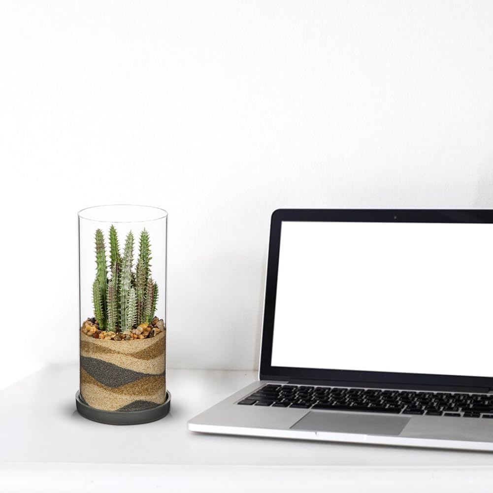 GnFlus Artificial Succulent in Cylindrical Glass Vase Fake Cactus Plant with Modern Glass Terrarium for Home Decor Farmhouse Hostess Gift