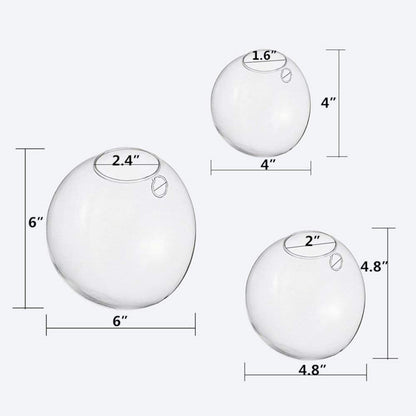 Ecosides Set of 3 Wall Hanging Planter Wall Hanging Bubble Glass Terrarium Wall Mount Vase for Indoor Planter Air Plant Glass Terrarium Flower Vase Wall Bowl(Oblique Opening)