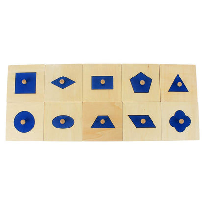 DANNI Family Version Baby Shape Cognition Toy Montessori Wood Geometric Insets Set/10 Early Childhood Education Preschool Training Kids Toys