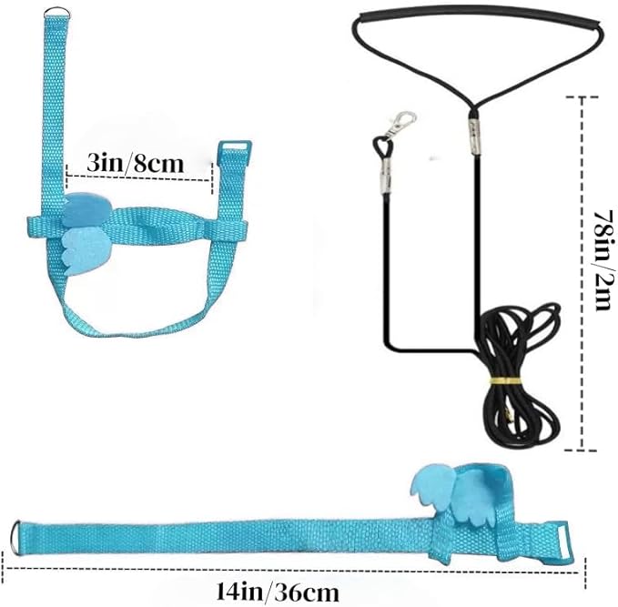 3 Sets Pet Parrot Bird Harness and Leash with Cute Wing, Adjustable Bird Flying Harness Straps Outdoor Training Traction Rope for Parrots Pigeons Lovebird Cockatiel(L,Red,Green&Blue)