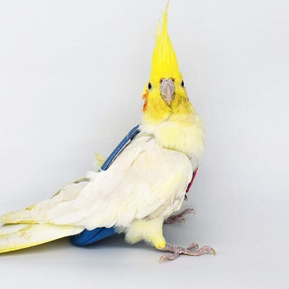 Birds Parrot Flight Suit with Leash Harness Rope, Velvet Leather Diaper Flight Clothes for Cockatiel Pigeons