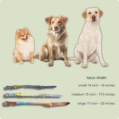 Pawtopia Cotton Braided Rope Collar for Medium Dogs, Vegan Leather Handle (Light Blue) with One Complimentary Roll of Dog Poop Bags (15 Bags), Durable Metal Buckle (Soft Rainbow Color, Medium)