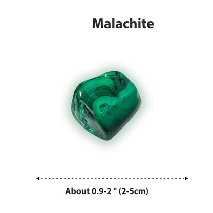 Apengshi Malachite Tumbled Stone 2pcs Polished Stone Natural Crystal and Healing Stones Irregular Stone for DIY Home Decor Garden Fountain 0.9''-2''