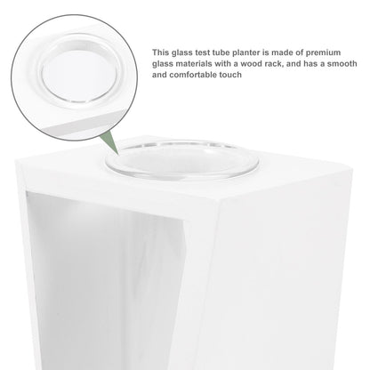 DIYEAH Glass Test Tube Propagation Station with White Wooden Holder, Hydroponic Flower Vase for Indoor Plant Terrarium and Water Propagation, Decorative Home Garden Container