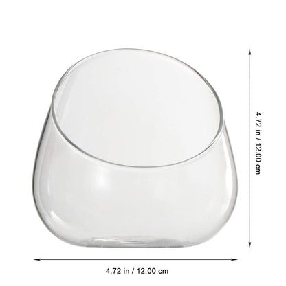Cabilock Clear Slant Cut Bubble Bowl Glass Vase Bowl Round Globe Planter Terrarium Orb Candy Dish Fruit Jar Floral Container for Home Office Decor