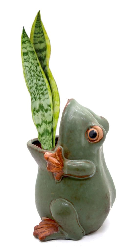 MONMOB 7" Ceramic Frog Shaped Plant Pot for Bonsai Flower Succulent Planter Candy Dish Pencil Holder Decor Multipurpose Green Frog Gift
