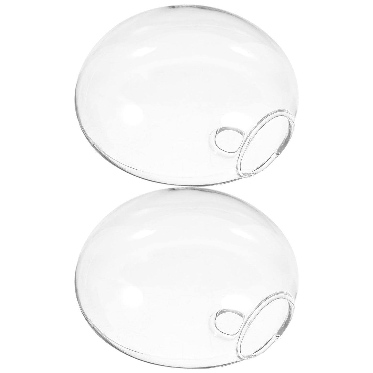 TOVINANNA Wall Mounted Glass Vase Set of 2, Hydroponic Planter for Indoor Plants, Hanging Terrarium Container for Home and Office Décor