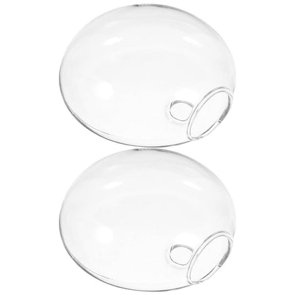 TOVINANNA Wall Mounted Glass Vase Set of 2, Hydroponic Planter for Indoor Plants, Hanging Terrarium Container for Home and Office Décor