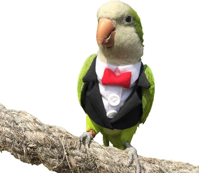 Bird Clothes Birds Flight Suit,Tuxedo Business Suit for Parrots African Greys Parakeet Cockatiel Sun Conure Christmas Party Birthday Cosplay Photo Prop Small Animals Apparel (S,Black Suit)