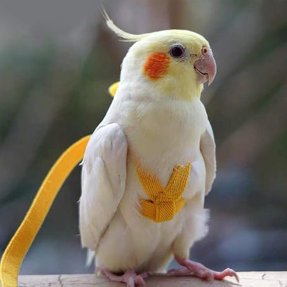 Adjustable Bird Harness Leash Parrot Flying Rope Straps Outdoor Training Traction Rope for Small Parrots, Random Color