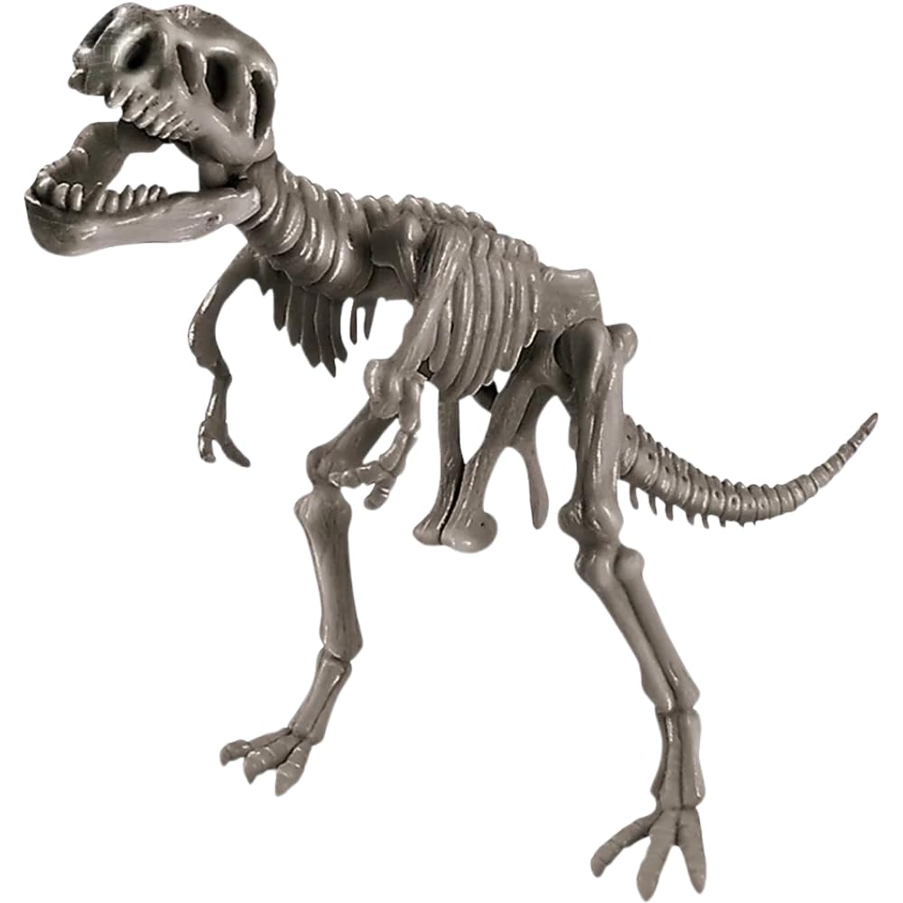 4M | STEAM Dinosaur World Exploration| Hands-On Science Kit with Dinosaur Figures & Fossil Experiments for Kids Ages 5+ - Educational Paleontology Toy Gift