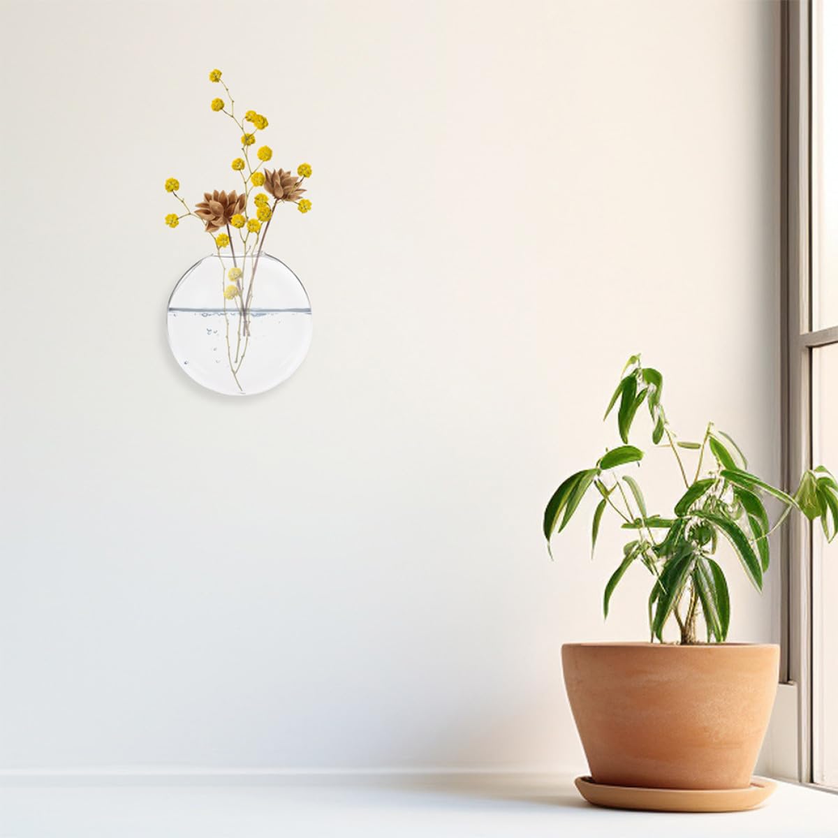 VALICLUD 4pcs Wall Mounted Glass Planter Terrarium Hydroponic Plant Vase Set for Indoor Home Office Decor