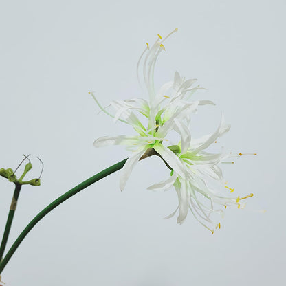 Qingriver 6 Sets 67 CM Lycoris Radiata Artificial Spider Lily Flowers Stonegarlic Clusteramaryllis for Home Garden Wedding Party Decor (Pure White)