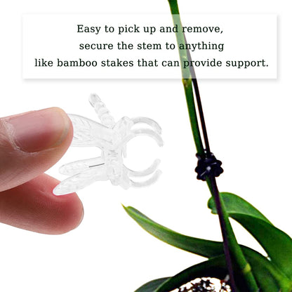 Watris Veiyi 100Pcs Plant Orchid Support, Garden Dragonfly Orchid Clips, Portable Cute Flower Vine Clips (Transparent)