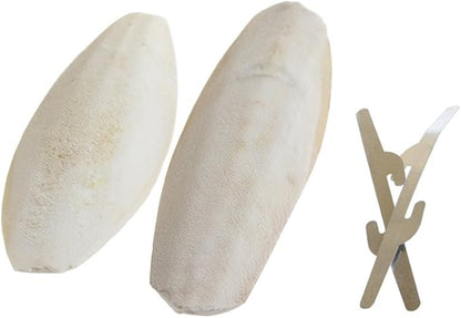 emours Natural Cuttlefish Bone for Reptiles, Tortoises, Snails, Birds and Small Animals, 4-5 inch, Twin Pack