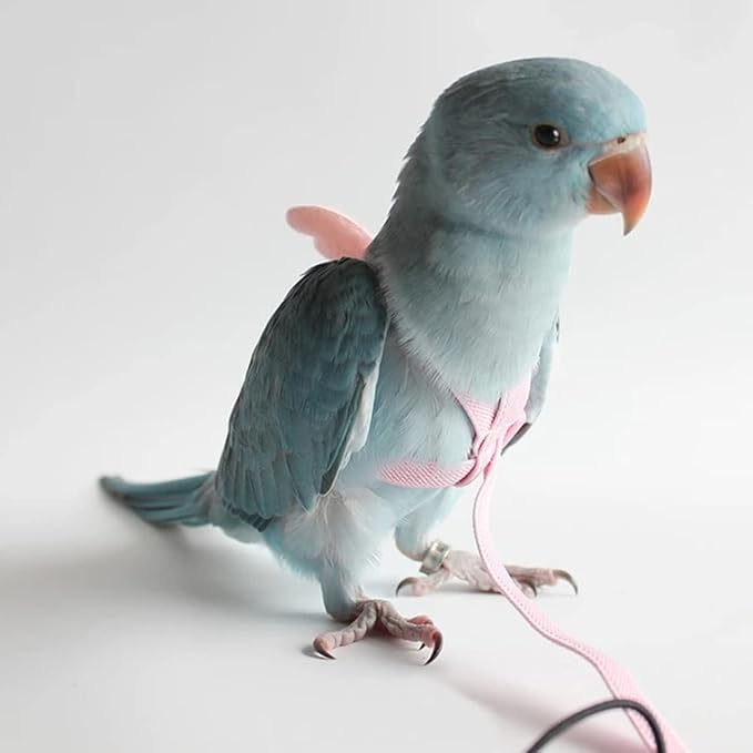 Gigicloud Parrot Harness Leash Ultra-Light Adjustable Bird Harness and Leash Outdoor Flying Training Rope Bird Accessories Small to Medium Breed Parrots Fits Birds Chest