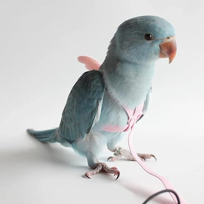 Gigicloud Parrot Harness Leash Ultra-Light Adjustable Bird Harness and Leash Outdoor Flying Training Rope Bird Accessories Small to Medium Breed Parrots Fits Birds Chest