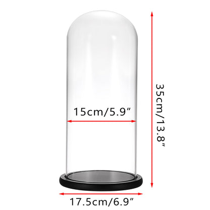JUXYES 13.8 Inches Glass Display Dome Cloche with Black Wood Base, Clear Glass Dome Cloche Bell Terrarium Jar Glass Cloche Bell Jar Display for Plants Collectible Figure, 15x35cm