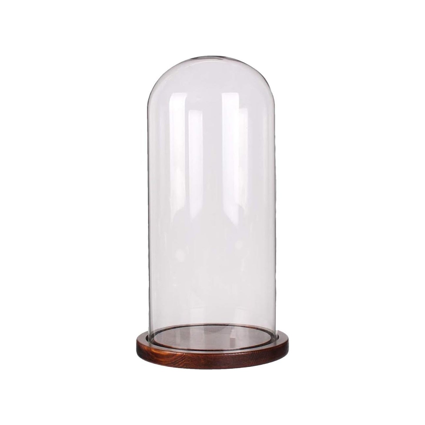 PTAHAN Glass Cloche Dome with Coffee Wood Base - 4.7" x 11" Display Case for Terrariums, Collectibles & Home Decor, Glass Dome Cloche with Natural Wood Base, Bell Jar Display Cover