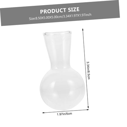 ifundom 2pcs Hydroponic Glass Bulb Vases for Indoor Plants Self-Watering Feature Terrarium Decorative Flower Pots for Home Decor