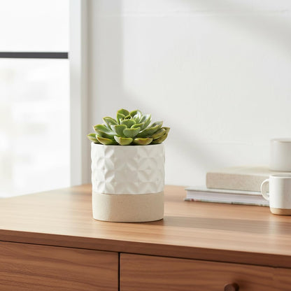 Nihow Self Watering Plant Pot: 4.5 Inch Ceramic Planter with Drainage Hole & Water Storage Plus for Indoor & Outdoor Plants - Cylinder Flower Pot for Herbs/Violets - Matte White & Brown Star