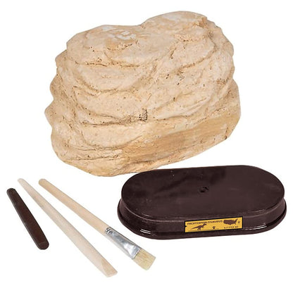 ArtCreativity Dinosaur Excavation Kit for Kids, 5.5” Pachycephalosaurs Skull Excavating Set with Fossil Digging Tools and Stand, Fun Science Activity Toy, Educational Dinosaur Gift for Boys and Girls