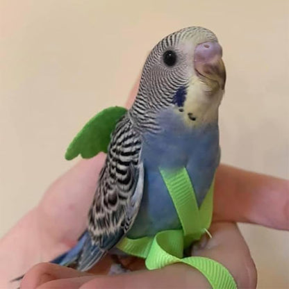 Pet Parrot Bird Harness and Leash, Adjustable Training Design Anti-Bite, Bird Nylon Rope with Cute Wing for Parrots, Suitable for Macaw Cockatoo Cockatiel Lovebird Conure African Grey (Green,XS)