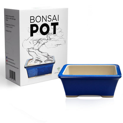 Leaves and Soul Blue Rectangular Bonsai Pot Ceramic Planter | Glazed Small Bonsai Tree Pot with Drainage for Succulents & Indoor Plants | Decorative Bonsai Planter for Tables, Home & Garden Décor