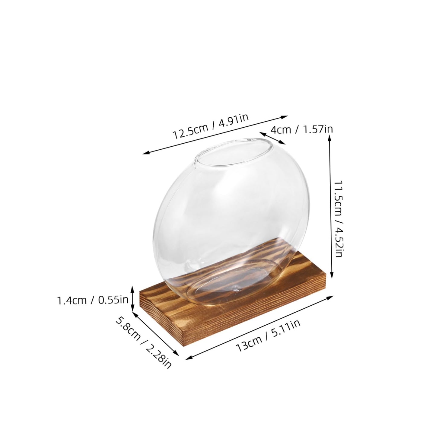 Kisangel 2Sets Clear Glass Planters for Indoor Plants with Base Artistic Propagation Terrariums for Home Office and Exhibition Decor Stylish Hydroponic Vases
