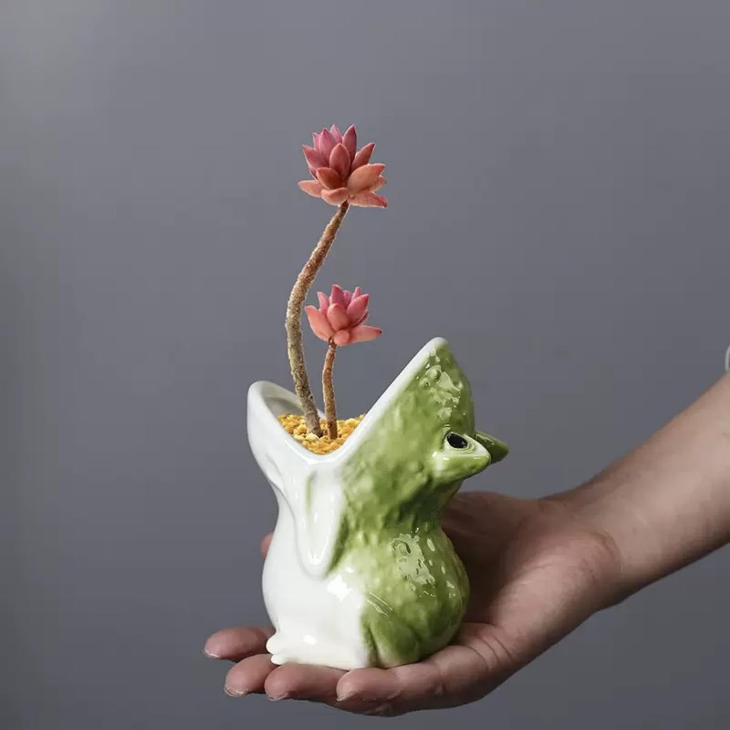 YQLDAHU Cartoon Frog Planter - Ceramic Succulent Planter Pot with Drainage, Cute Home Decor Gift for Plant Lovers, Indoor/Outdoor Mini Flower Pot for Desk, Garden, Windowsill by Home-n-Gifts 1pcs