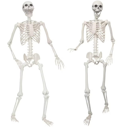 Lodou 2 Pack 5.4ft/165cm Life Size Skeleton Halloween Skeletons,Full Body Human Bones with Movable Joints for Indoor Outdoor Halloween Decor