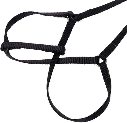 Adjustable with Elastic Leash for Bird Easy Control Harness Leash Vest Flying for Cross Band, Orange