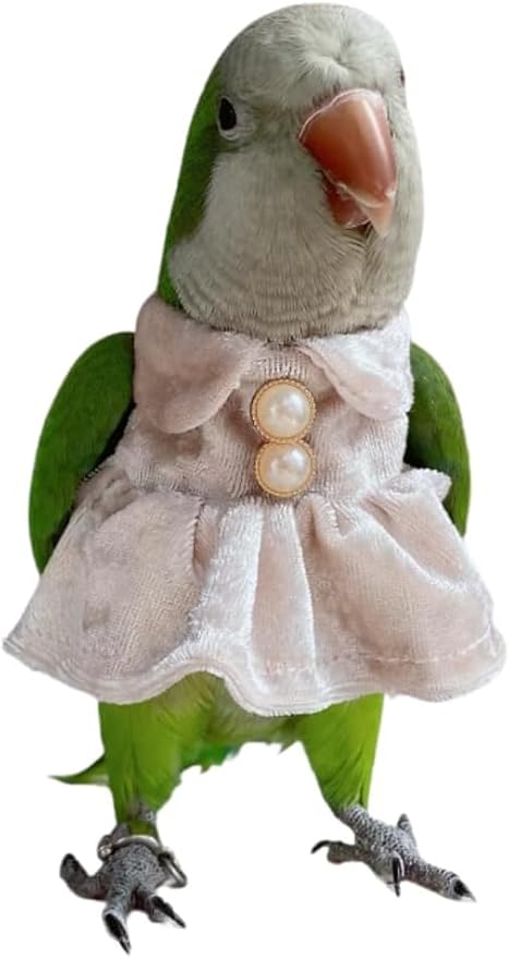 Bird Costume Bird Diaper Flight Suit Parrot Velvet Fleece Skirt Clothes Cosplay Photo Prop for Conure Lovebird Parakeet Cockatiel Macaw Small Animals Apparel (White,Small)