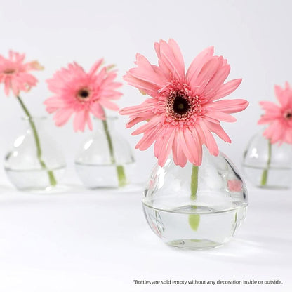 Magic Season Decorative Glass Bottles with Cork Stoppers - 260 ml Potion Bottles (6 Pcs)