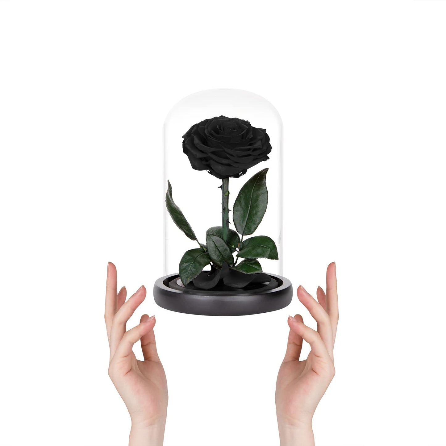 Preserved Roses Black Roses in Glass Dome, Medium, Preserved Flowers for Women